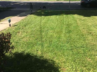 Kyle T.'s Lawn Care service result