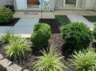 Weeding by Ty Isaacs for Trish E. in Upper Marlboro, MD
