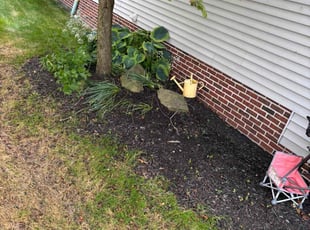 Cleanups by Seantrell Lawson for Faris E. in Cleveland, OH