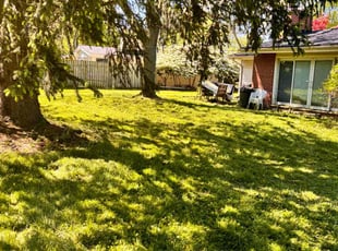 Cleanups by Robert Cain for Autumn A. in Southfield, MI