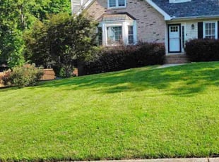 Mary D.'s Lawn Service service result