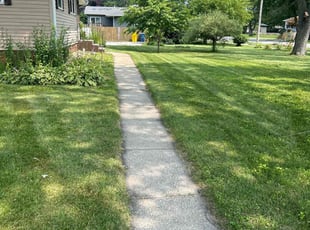 Matt H.'s Lawn Mowing service result
