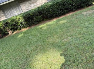 Bush Trimming by Shemack Mills for Robert H. in Shreveport, LA
