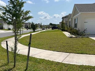 Cam B.'s Lawn Care service result