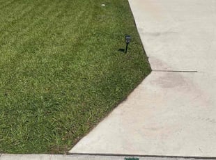 Walter H.'s Lawn Mowing service result