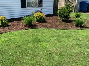 Weeding by Anthony Bartell for David B. in Virginia Beach, VA