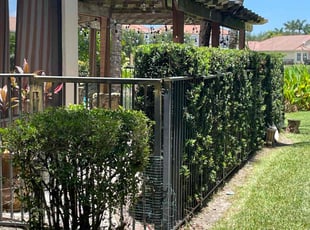 Bush Trimming by Charles Walton for Victoria D. in Boynton Beach, FL