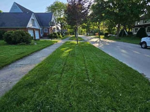 Toria d.'s Yard Cutting service result