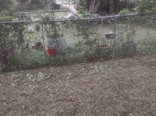 Cleanups by Jonathan Zavala for Cennie B. in Fort Worth, TX
