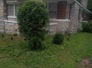 Bush Trimming by Jay Miller for Jaytonn M. in Memphis, TN