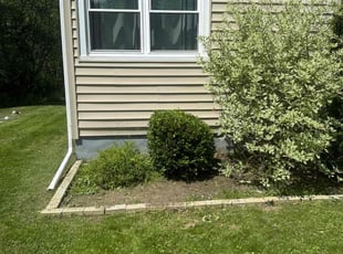 Bush Trimming by Gaven Planavsky for Jillian C. in Ballston Spa, NY
