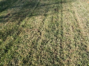 Leaf Removal by Edward Kauffman for Donald I. in Chesapeake, VA