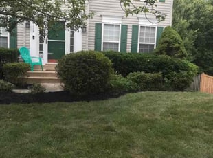 Bush Trimming by Anil Singh for Andrew B. in Bristow, VA