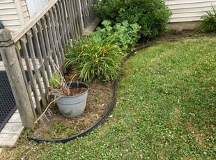 Weeding by Dante Rivera for Rachel H. in Warminster, PA