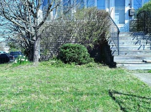 Bush Trimming by Michael King for Angela C. in Girard, OH