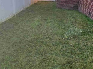 Cleanups by Kevin Lewis for Samuel S. in Portsmouth, VA