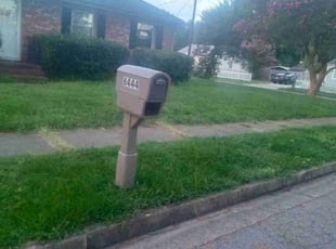 Bush Trimming by Lyman Whitaker for Kendall A. in Norfolk, VA