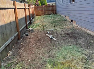Bush Trimming by Alwyn Seegolam for Ebony C. in Vancouver, WA