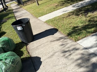 Leaf Removal by Paz Silva for Patrick S. in Houston, TX