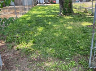 Cleanups by Steven Cintron for Cindy R. in Pennsauken Township, NJ