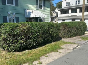 Bush Trimming by Mike M for Erica S. in Scranton, PA