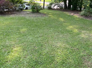 Leaf Removal by L Moore for Leonard B. in Garner, NC