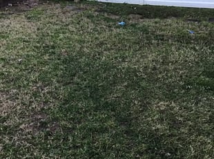 Leaf Removal by Derrick Crudup for Sarah K. in Cary, NC