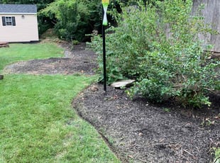 Weeding by Rudolph Tyler for Roger S. in Wilmington, DE