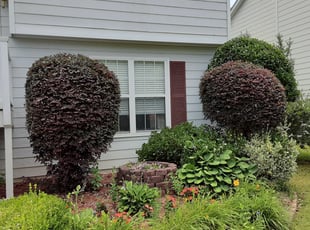 Bush Trimming by Robert Williams for Charlotte F. in Acworth, GA