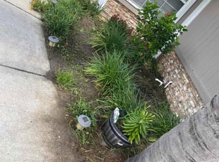 Weeding by Jean Claude Zephirin for Kathy W. in Middleburg, FL