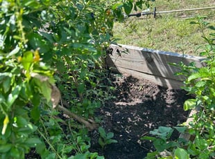 Cleanups by Quinton Davis for Paul G. in Haines City, FL
