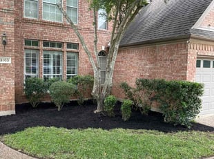 Bush Trimming by Adrian Gutierrez for Chris H. in Austin, TX