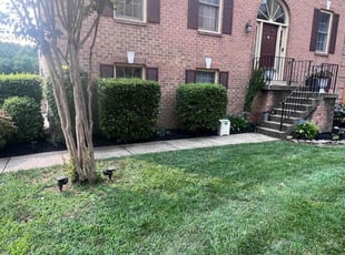 Mulching by Jose M Rodriguez for Amy S. in Alexandria, VA