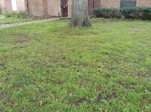 Cleanups by Alexis Perez for Nicole O. in Houston, TX