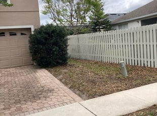 Bush Trimming by Joseph Grasso for Darius G. in Orlando, FL
