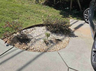 Weeding by Isaiah Cuthbertson for Zach M. in Charlotte, NC