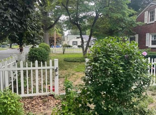 Bush Trimming by Josian Davila for Bobby D. in Springfield, MA