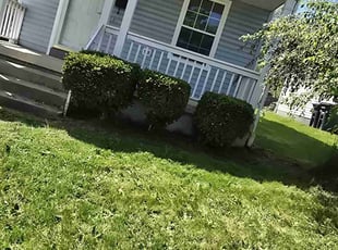Bush Trimming by Justin Pruiett for Annette H. in Akron, OH