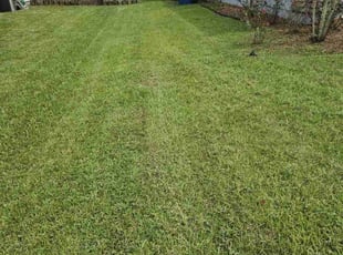 Tabitha F.'s Lawn Service service result