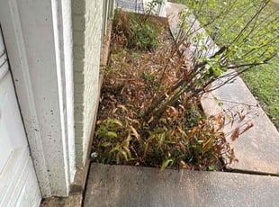 Leaf Removal by Franklin Garcia for Sophie A. in Austin, TX