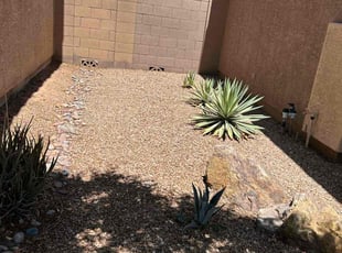 Leaf Removal by Michael Rizzo for Bailey M. in Mesa, AZ