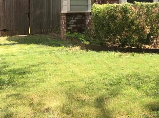 Debra C.'s Bush Trimming service result