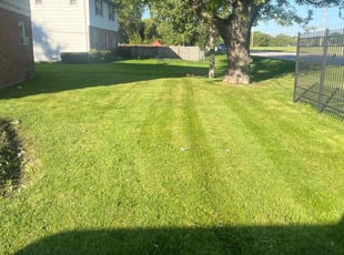 James M.'s Yard Cutting service result