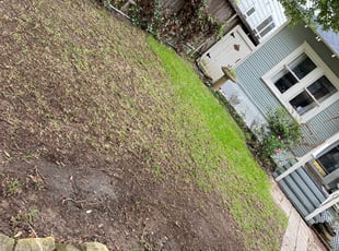 Leaf Removal by Paz Silva for Jeff S. in Houston, TX