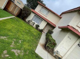 Bush Trimming by Luis Enrique Rafael Chavez for Catherine S. in San Jose, CA