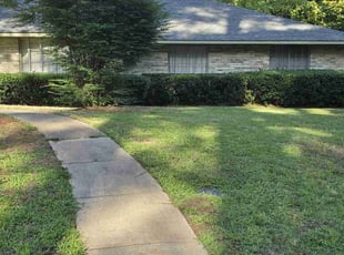 Bush Trimming by Antonio Scott for Robert H. in Shreveport, LA