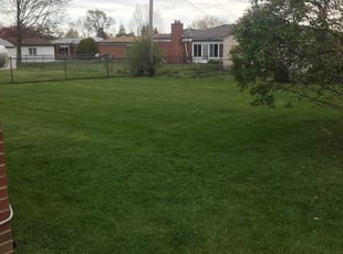 Leaf Removal by John Hellems for Brian D. in Troy, MI