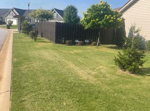 Bush Trimming by Shaquille Davis for jane M. in Greer, SC