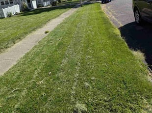 Juanema H.'s Lawn Care service result