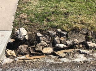 Leaf Removal by Brandon ABRAM for Leontyne D. in Kansas City, MO